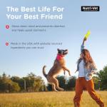 Nutri-Vet Anti-Diarrhea Liquid for Dogs and Puppies, Puppy Supplements for Digestive Health, Dog Essentials for Gut Support, Pet Vitamins, Probiotic Alternative, Puppy Supplies, Made in USA, 4oz