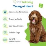 Pet Wellbeing Young at Heart for Dogs - Senior Heart Health Support, Cardiovascular Wellness with Hawthorn & Motherwort - NASC Certified & Vet-Formulated - 2 oz Liquid Formula