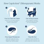 PetArmor Capaction Oral Flea Treatment for Cats