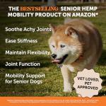 Senior Hemp Hip and Joint Supplement for Dogs - Glucosamine Chondroitin, MSM & Green Lipped Mussel - Relief for Joint Stiffness, Advanced Strength Mobility Support for Senior Dogs (Chicken, 90 Ct)