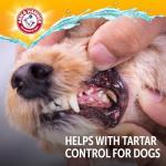 Arm & Hammer Complete Care Dog Dental Spray, Mint Flavor, Easy Brushless Dog Breath Freshener, Baking Soda Enhanced Formula for Fresh Dog Breath, 6oz