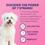 Nutramax Proviable DC Capsules for Dogs and Cats