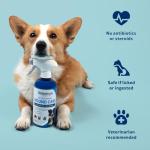 Dog Wound Care Spray - Quick Healing Formula
