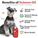 Salmon Oil for Healthy Skin & Joints in Pets