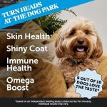 Salmon Chews for Dog Skin Health & Itch Relief