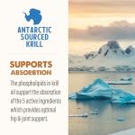 Grizzly Joint Aid Liquid for Dogs and Cats