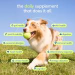 Native Pet Daily Dog Multivitamin Powder - 30 Scoops