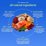 Native Pet Daily Dog Multivitamin Powder - 30 Scoops