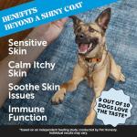 Pet Honesty Omega Skin Health Chews for Dogs, Alaskan Salmon Oil, Omega-3 Fish Oil, Krill, Spirulina, Omega-3s, Healthy Skin & Coat, Itchy Skin, Dog Allergies, May Reduce Shedding (90 Count)