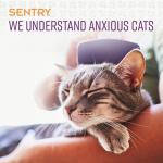 Sentry Calming Chews for Cats, Calming Aid Helps to Manage Stress & Anxiety, With Pheromones That May Help Curb Destructive Behavior & Separation Anxiety, Calming Health Supplement for Cats, 4 oz.