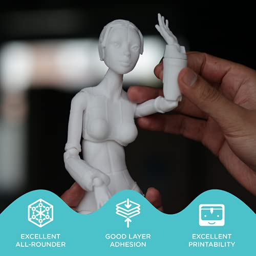 Polymaker PolyLite PETG Black Filament 1.75mm, 1kg