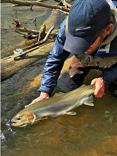 Pflueger President Size 10 Spincast Reel