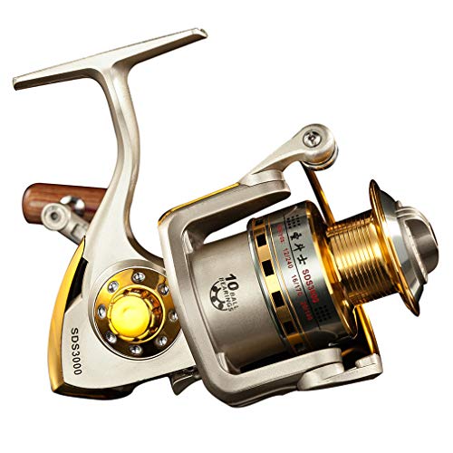 Diwa Spinning Fishing Reels for Freshwater & Saltwater
