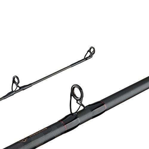 Berkley Lightning Casting Rod for Fishing