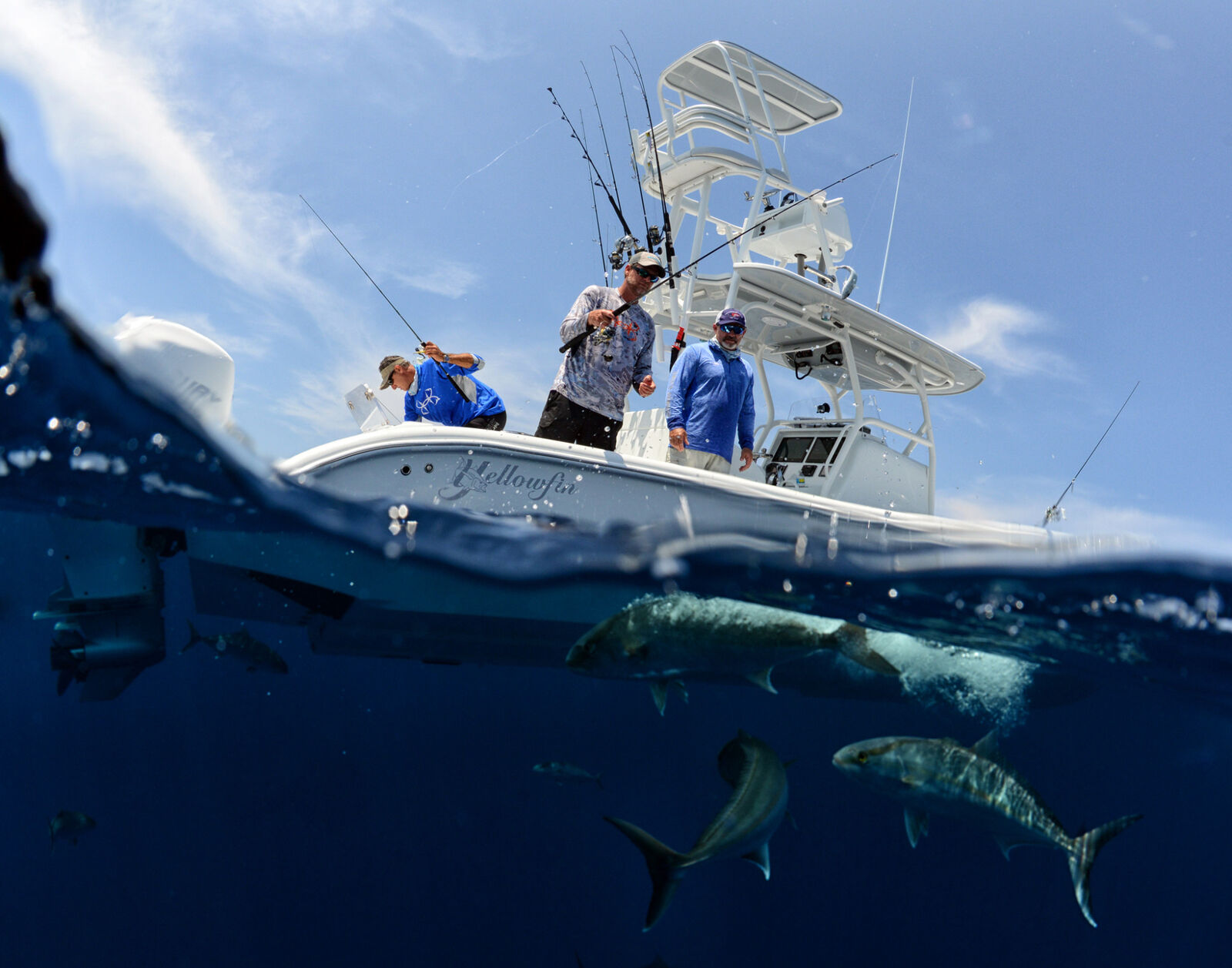 Shimano Sojourn 7' Freshwater Casting Rod