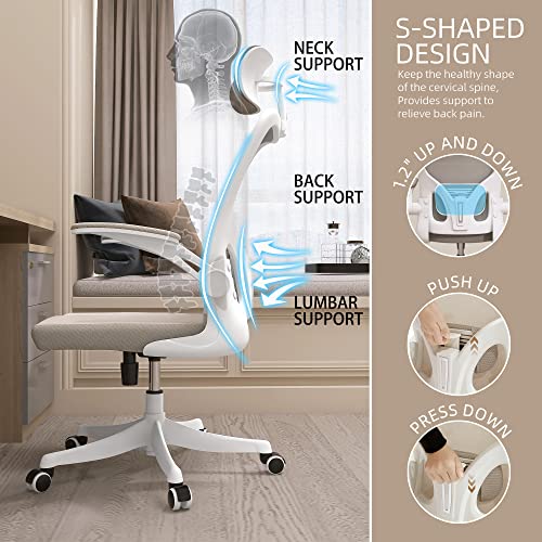 Monhey Adjustable Ergonomic Office Chair with Lumbar Support