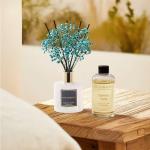 Cocorrína Premium Reed Diffuser with Vanilla Essence