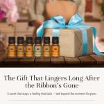 P&J Premium Spice Fragrance Oil Set - 6 Pack