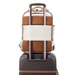 Delsey Paris Chatelet Travel Laptop Backpack - Angora