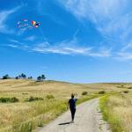 HONBO Easy-Fly Delta Kite for Kids and Adults