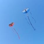 Colorful Dragon Kite for Kids and Adults