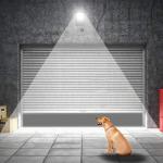 30W LED Motion Sensor Outdoor Floodlight, IP66