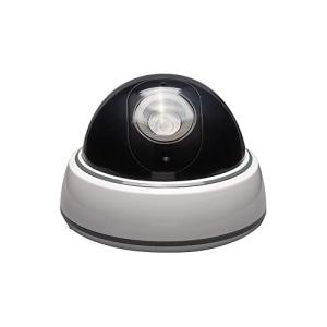 SABRE Fake Dome Security Camera with Flashing Light