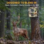 1080P HD Mini Trail Camera with Night Vision