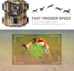 1080P HD Mini Trail Camera with Night Vision