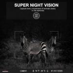 1080P HD Mini Trail Camera with Night Vision