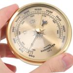 Dranvosk High Precision Indoor Barometer Gauge