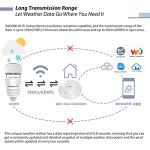 ECOWITT Wittboy GW2001 Weather Station Bundle