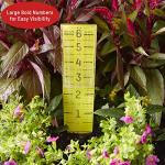 Taylor ClearVu 6-Inch Rain and Sprinkler Gauge
