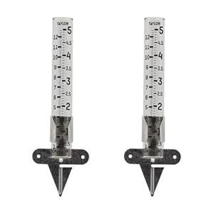 Taylor 5-Inch Glass Rain Gauge with Ground Spike