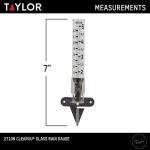 Taylor 5-Inch Glass Rain Gauge with Ground Spike
