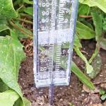 DARALIS Clear Rain Gauge 2-Pack for Garden