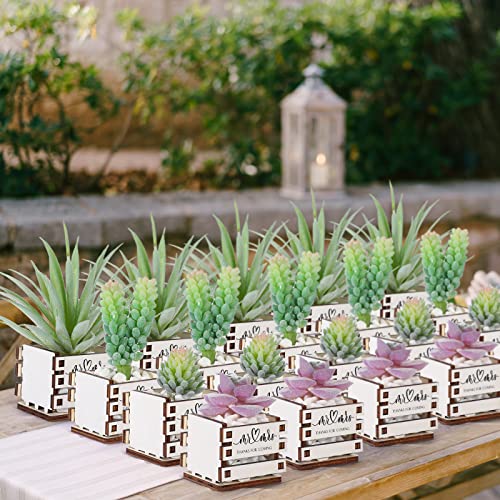 50 Mini Succulent Pots for Weddings and Showers