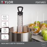 Taylor 12-Inch Stainless Steel Candy/Fry Thermometer