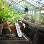 Indoor Outdoor Thermometer and Hygrometer with Celsius/Fahrenheit