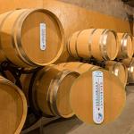 Indoor Outdoor Thermometer and Hygrometer with Celsius/Fahrenheit