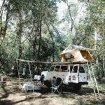 Telescoping Tent Pole Set for Tarps and Awnings