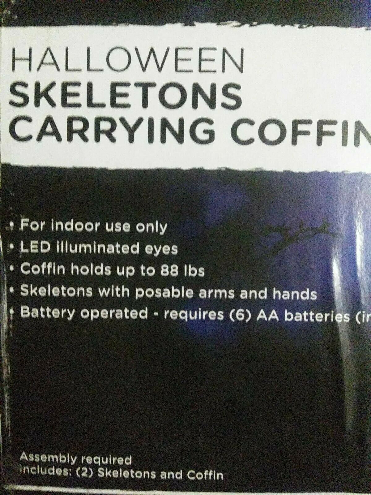 Life Size Skeleton Duo with Coffin Halloween Prop