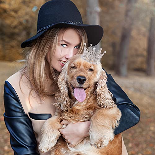 Pet Crown Headband Set for Dogs - Silver & Gold