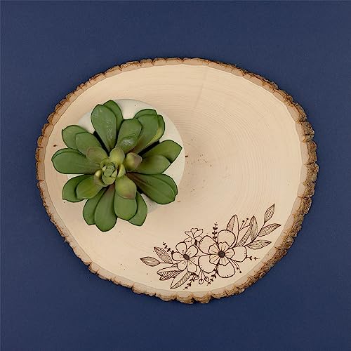 Extra Large Basswood Round for Woodburning & Décor