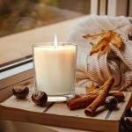 16 Pack 7 OZ Clear Candle Jars with Lids