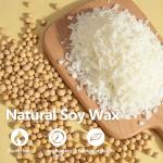 Soy Candle Wax Flakes and Wicks Set – 10 lbs