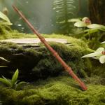 Hand-Carved Wooden Magic Wand with Spellbook