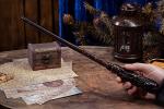 Lion Magic Wand - Hand Carved Wooden Wizard Wand
