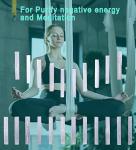 Selenite Crystal Wand and Charging Plate Set