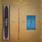 Wooden Magic Wand with Spellbook and Gift Box